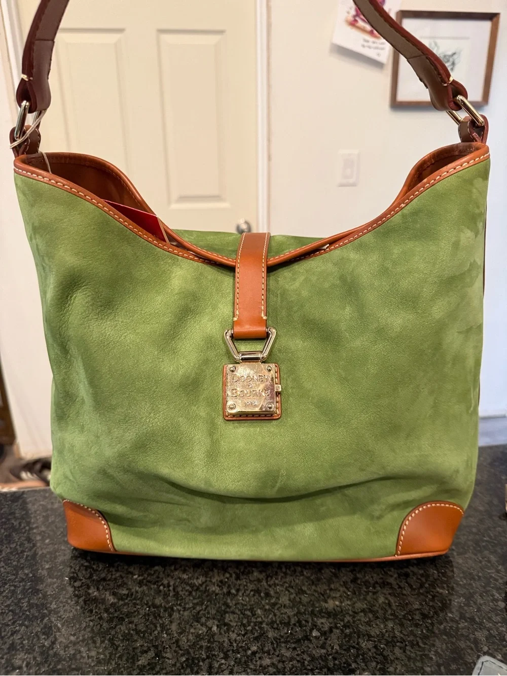 NWT Dooney & Bourke Green Suede Sac Shoulder Bag RARE $345 - Picture 1 of 9